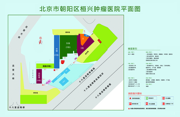 爆操老骚屄视频北京市朝阳区桓兴肿瘤医院平面图